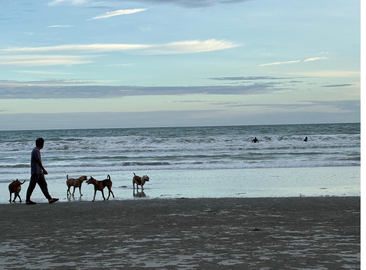 Evening walk on Mae Ram Phueng Beach, Rayong, Gulf of Thailand