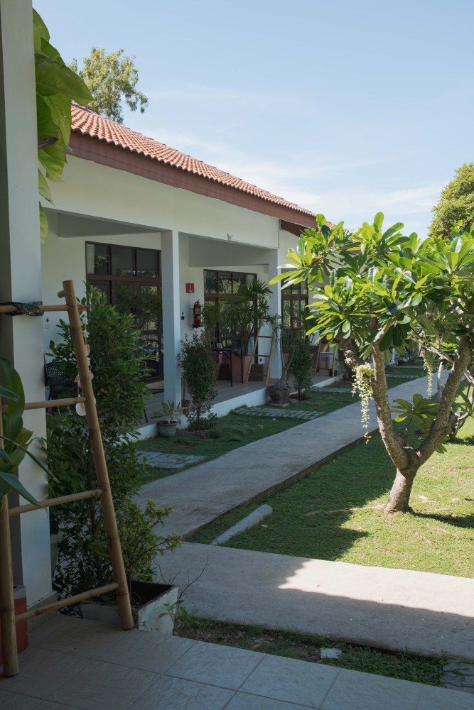 Stone path through the lawn at Tree Roots Retreat, Mae Ramphueng, Rayong, with palms and the guest building ahead.