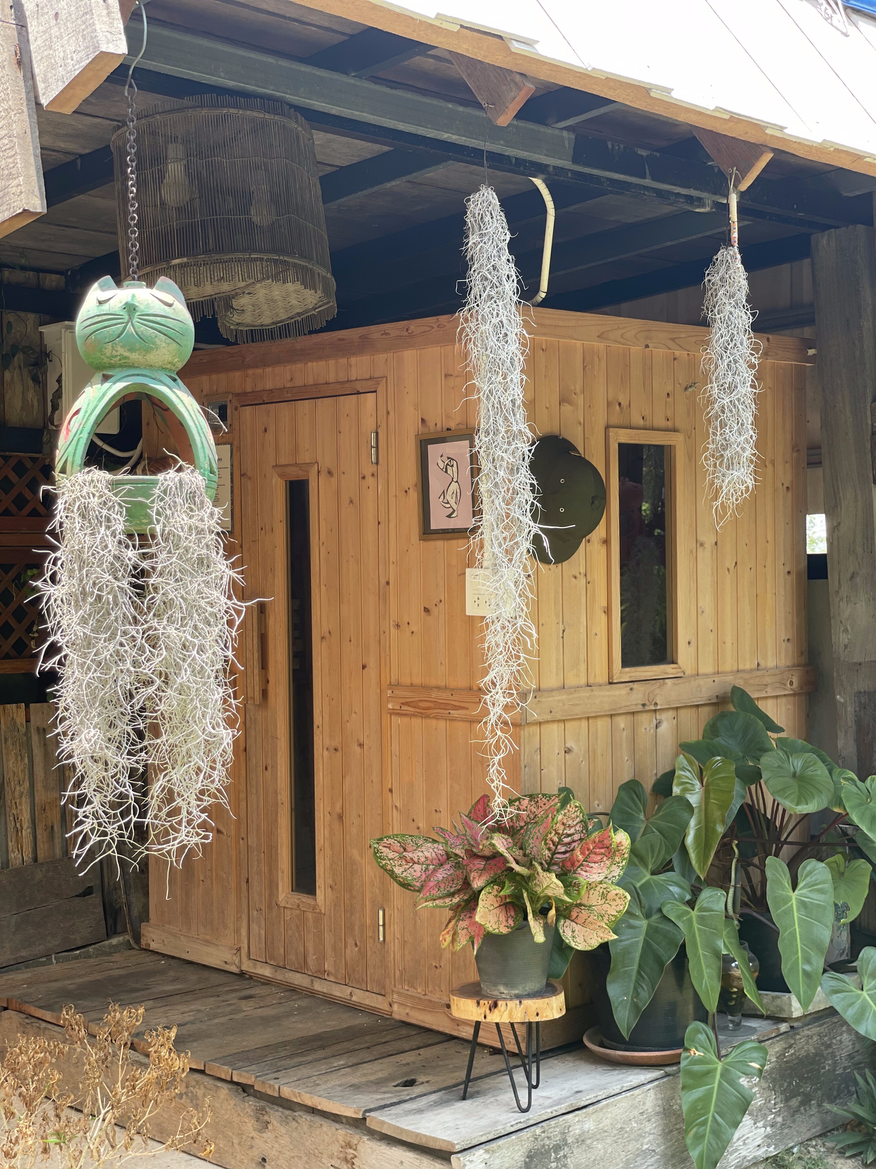 Sauna entrance with tropical plants at Tree Roots Retreat, Rayong