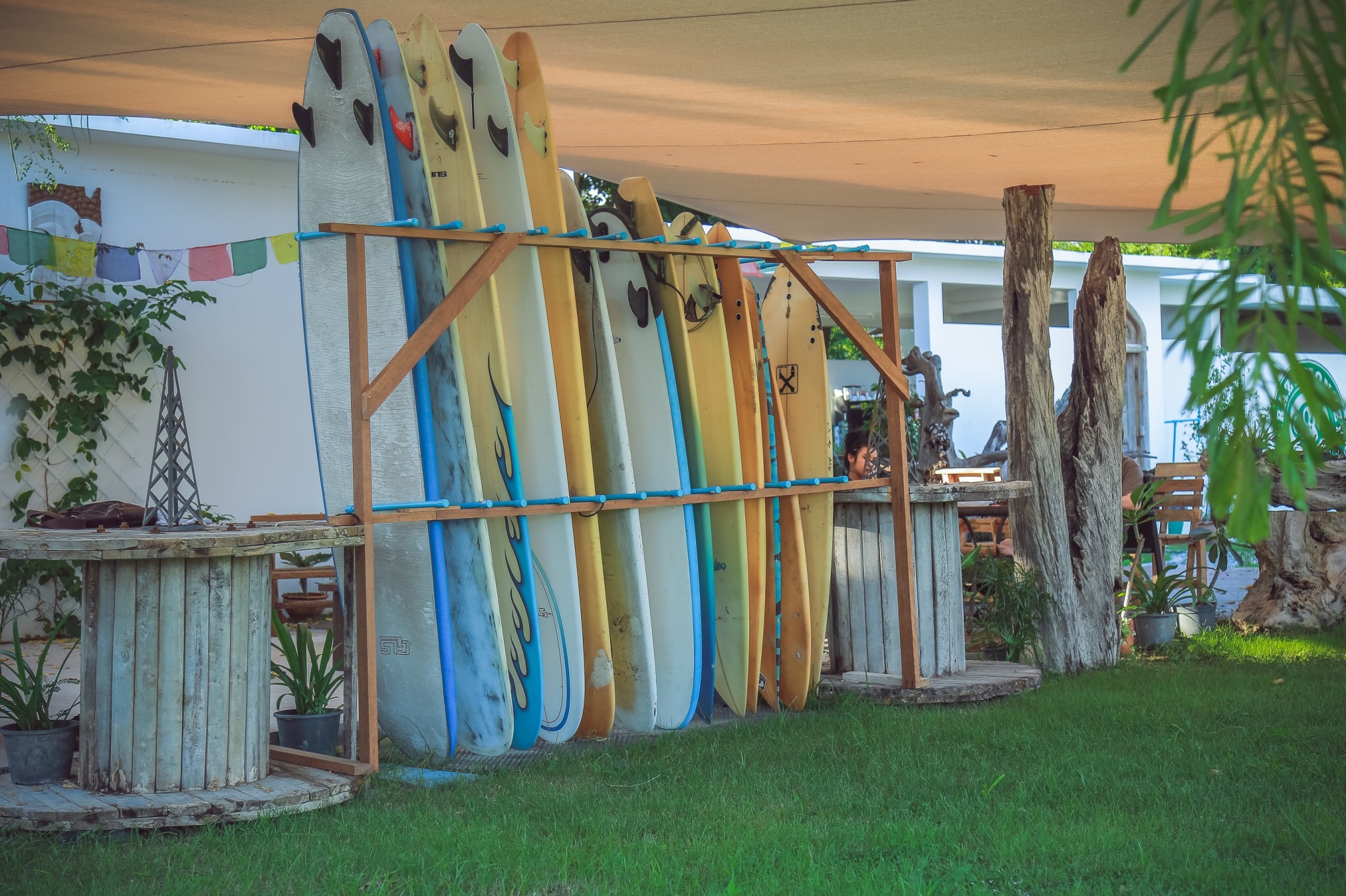 Surfboards lined up at Tree Roots Retreat, Rayong