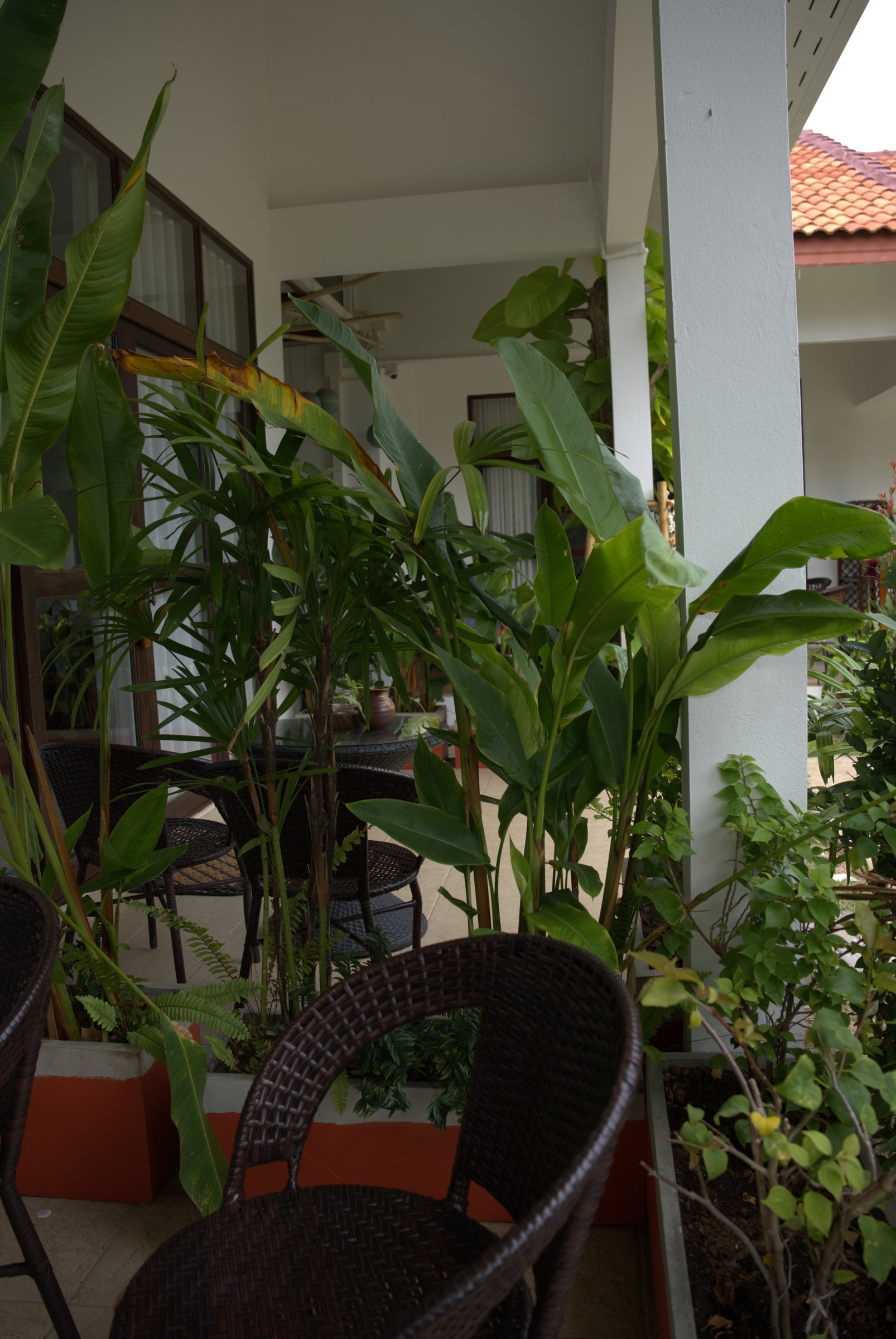 Private terrace of a garden room at Tree Roots Retreat, Rayong, with wicker chairs among tropical plants.